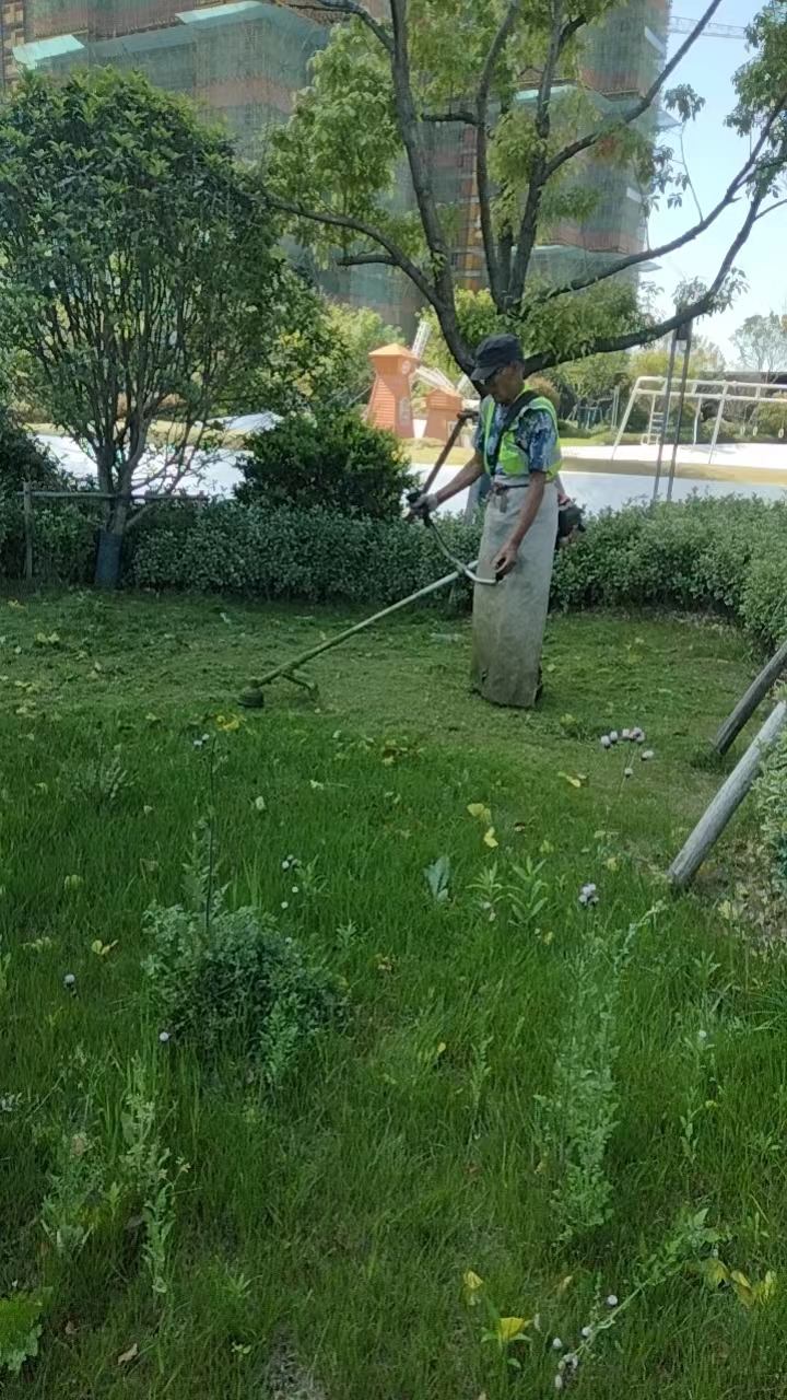 蕪湖碧桂園黃金時(shí)代綠化養(yǎng)護(hù)